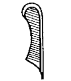 An ostrich feather, the symbol for Ma'at